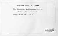 Image Associated With the Occurence